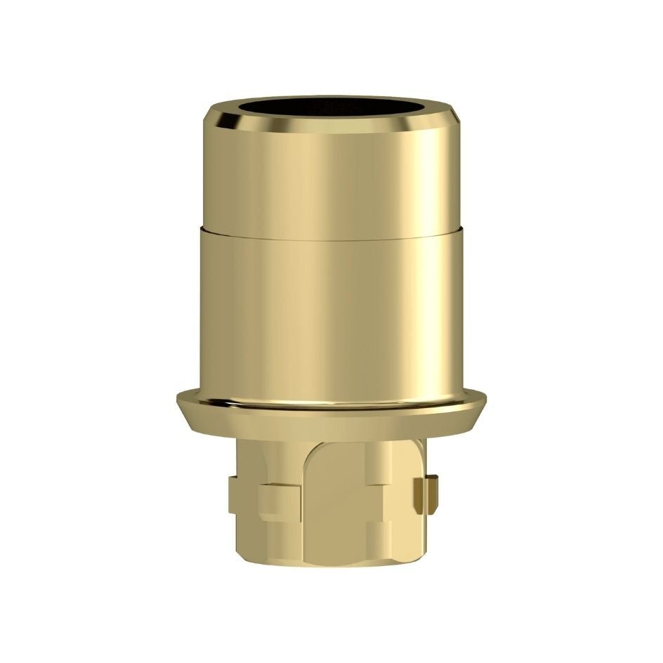 NeoLink® Abutments