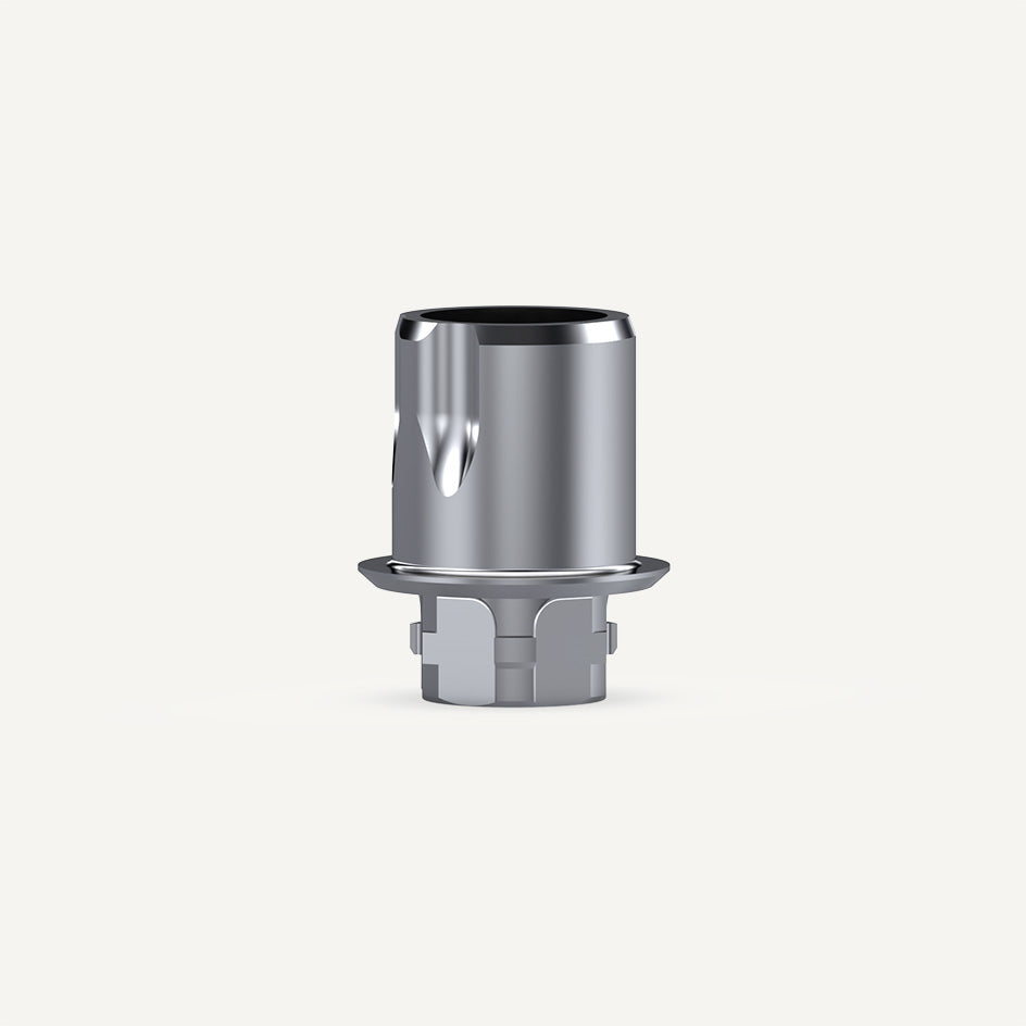 NeoBase® Abutments Straight Screw Channel